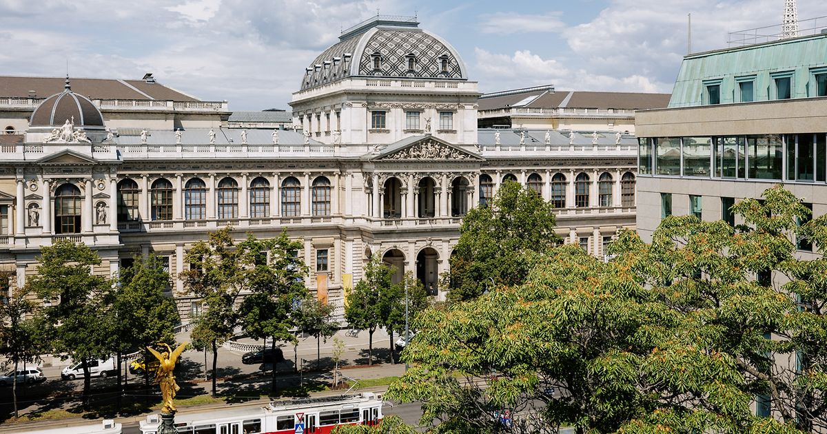 Viyana Üniversitesi